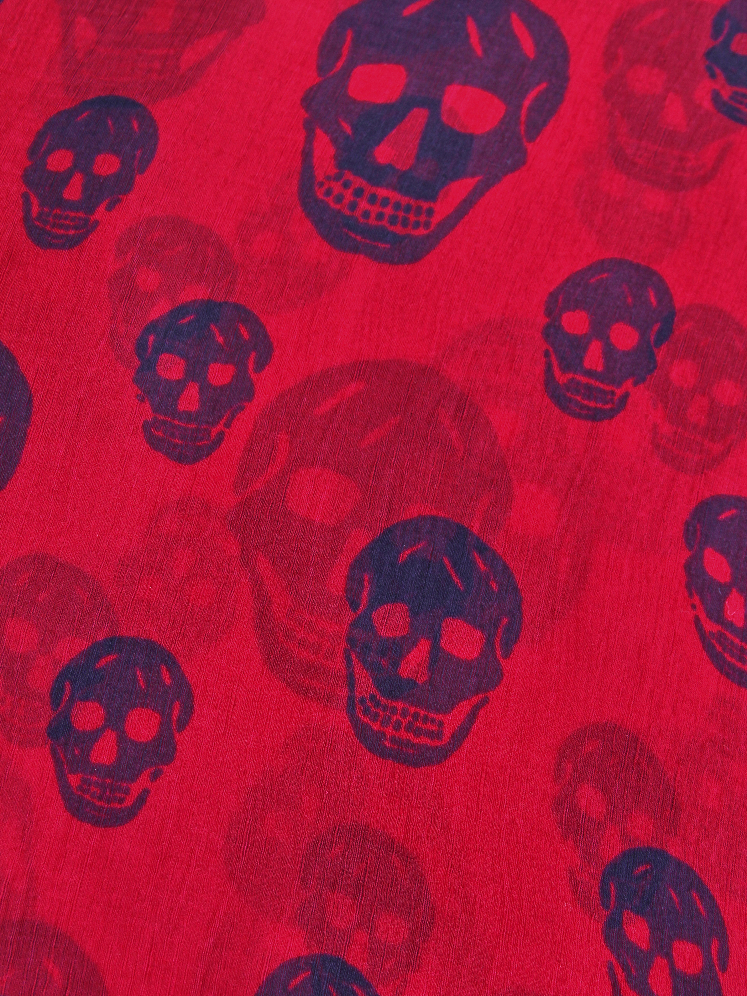 Alexander Mcqueen Scarf 3