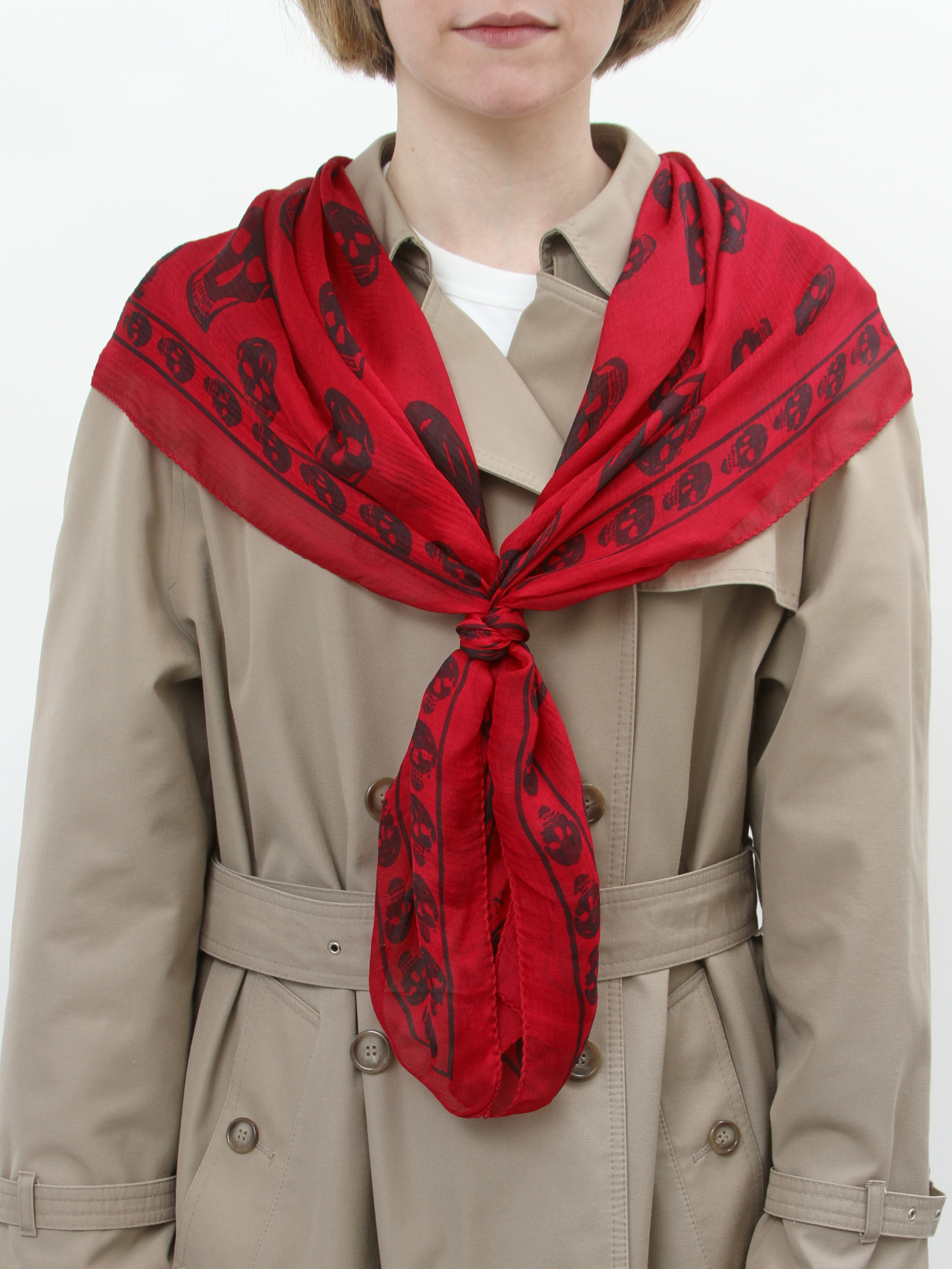Alexander Mcqueen Scarf 5