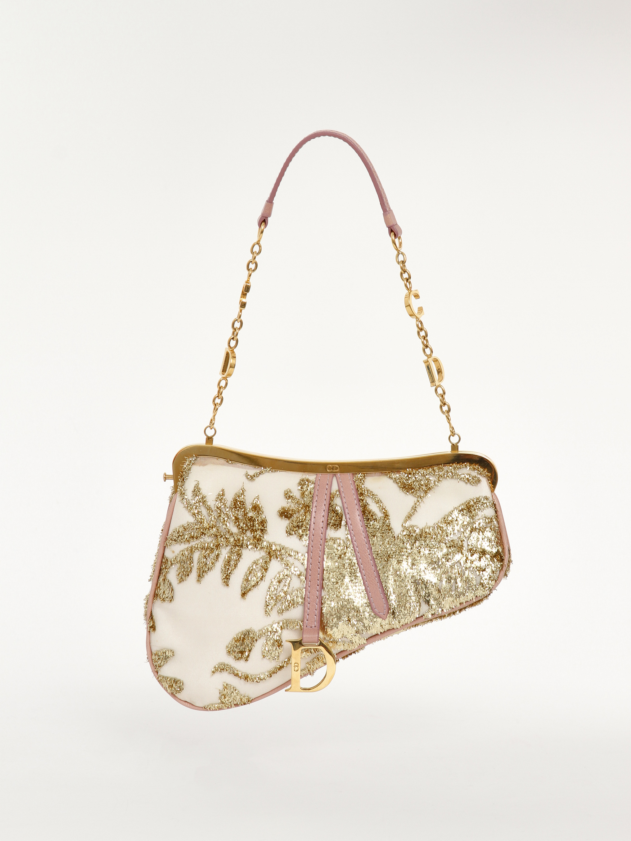 Christian Dior Saddle 0