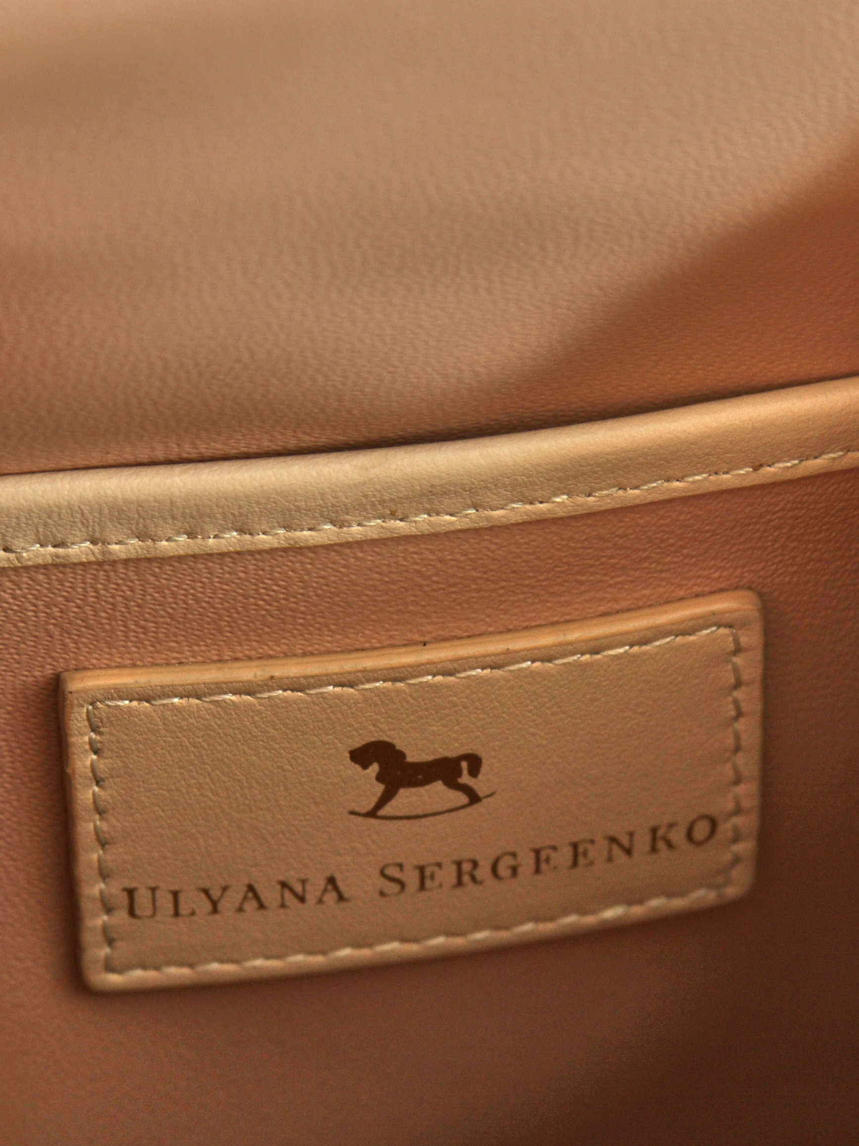 Ulyana Sergeenko Leather Bag 11