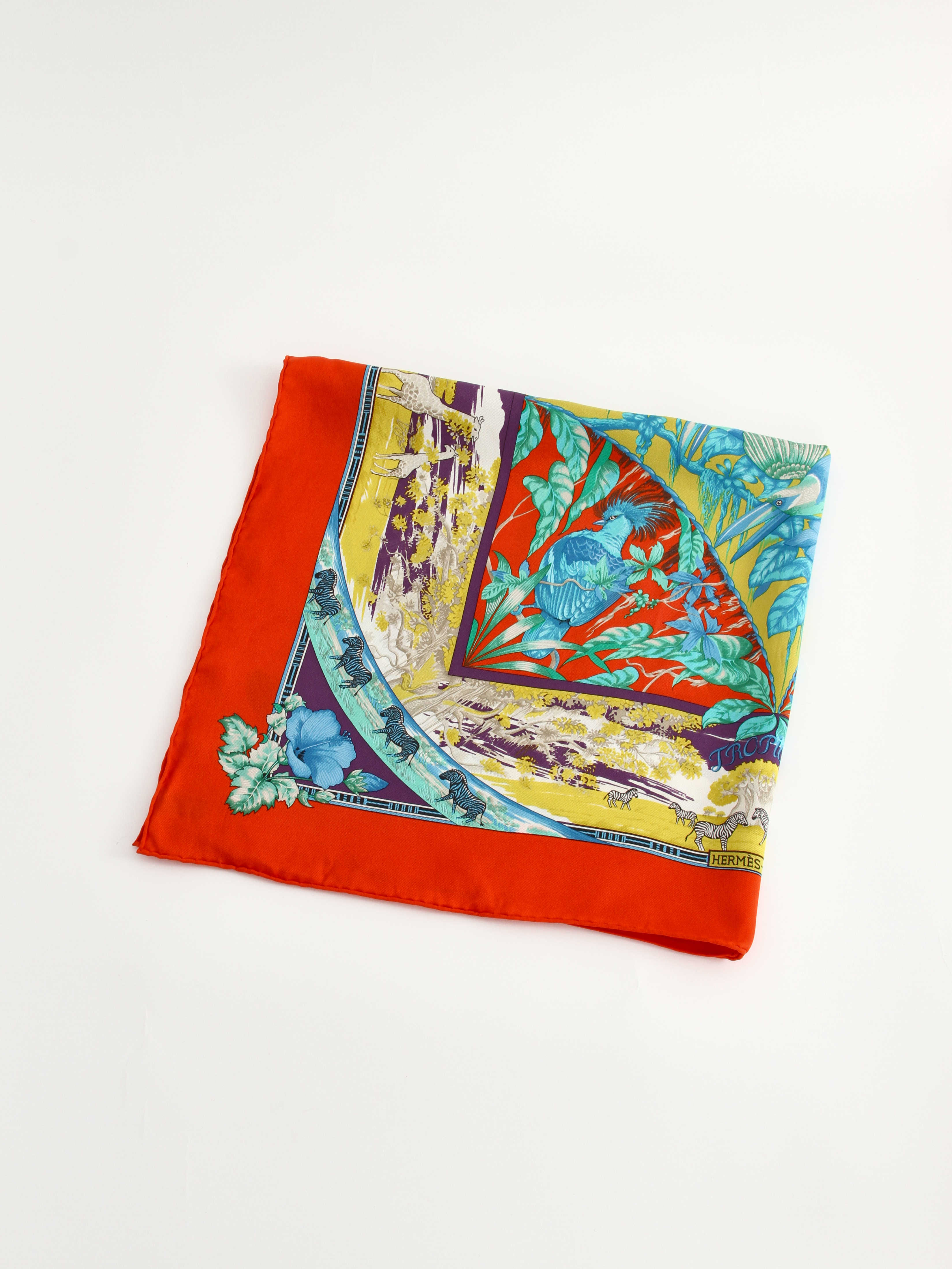 Hermes Scarf 0
