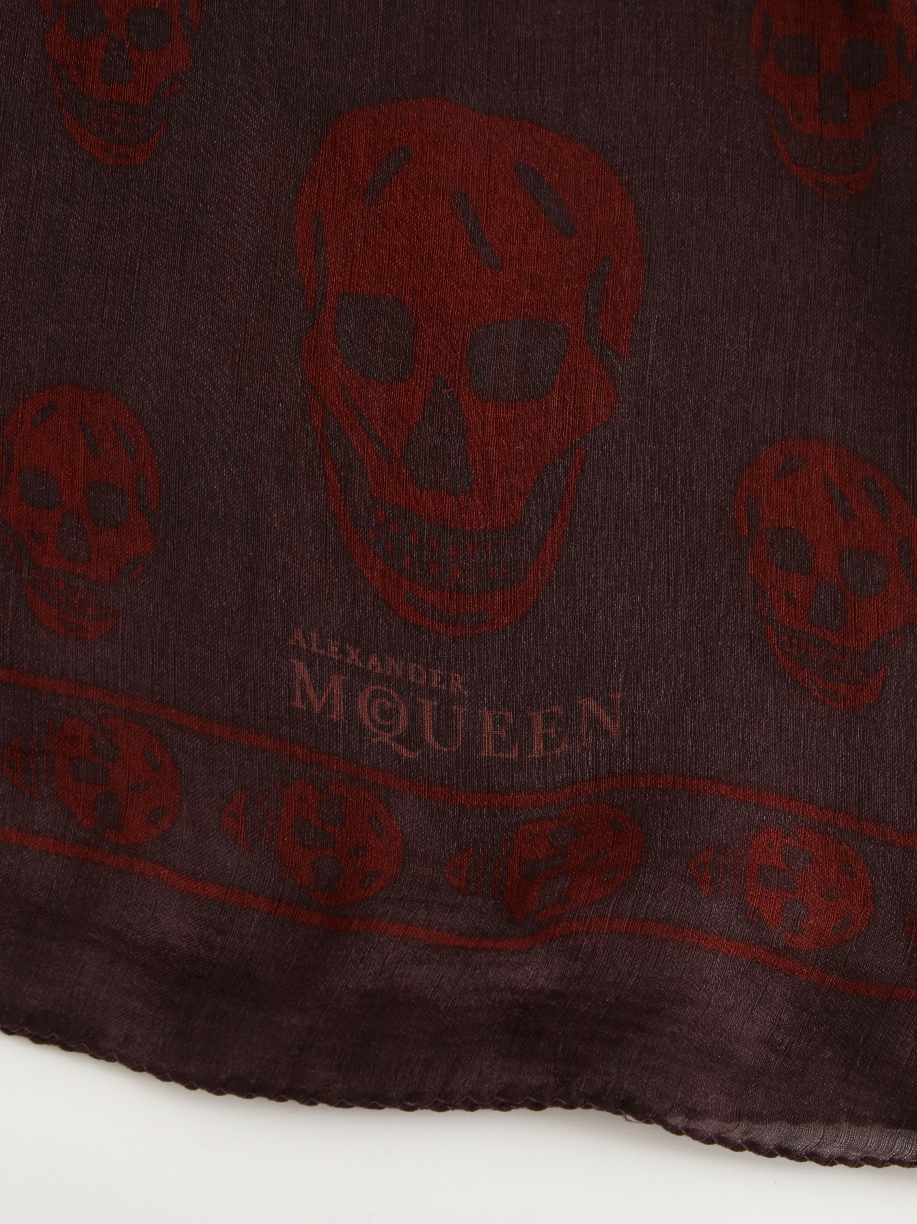 Alexander Mcqueen Silk Scarf 1