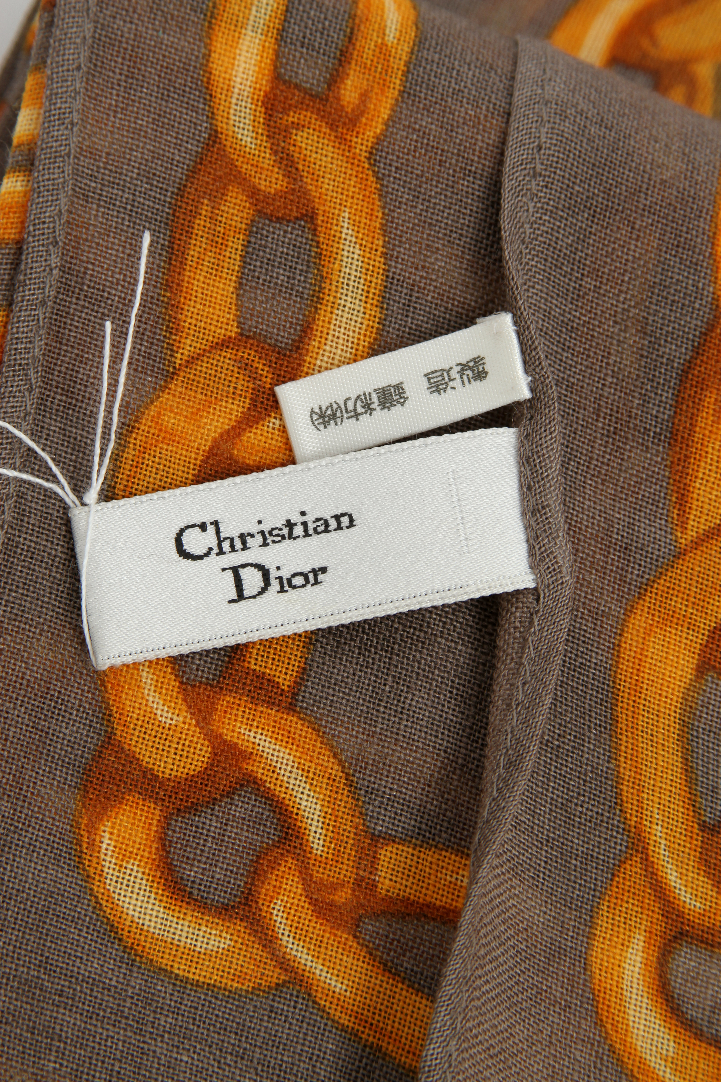 Christian Dior Scarf 2