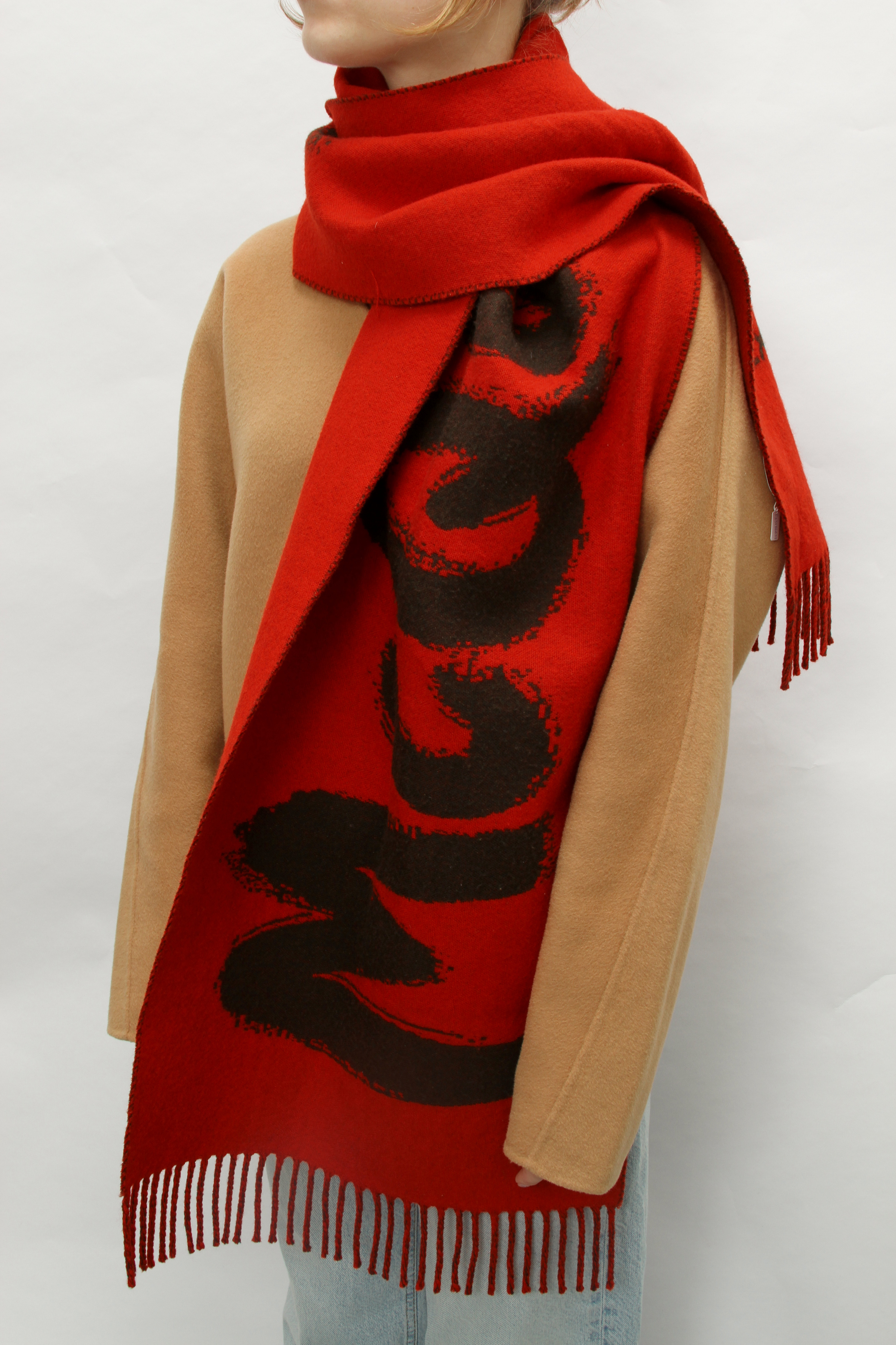 Alexander McQueen Scarf 3