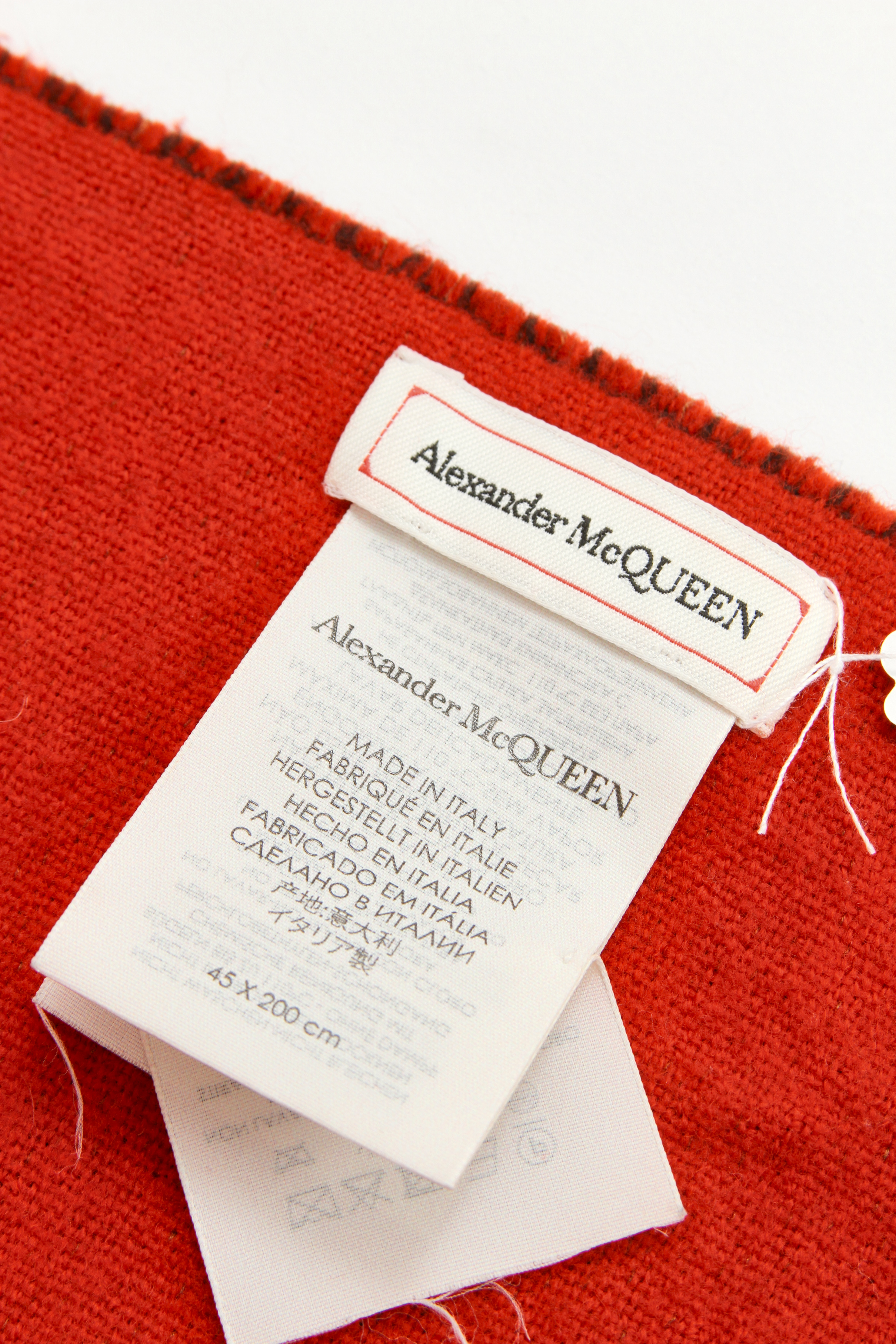 Alexander McQueen Scarf 1