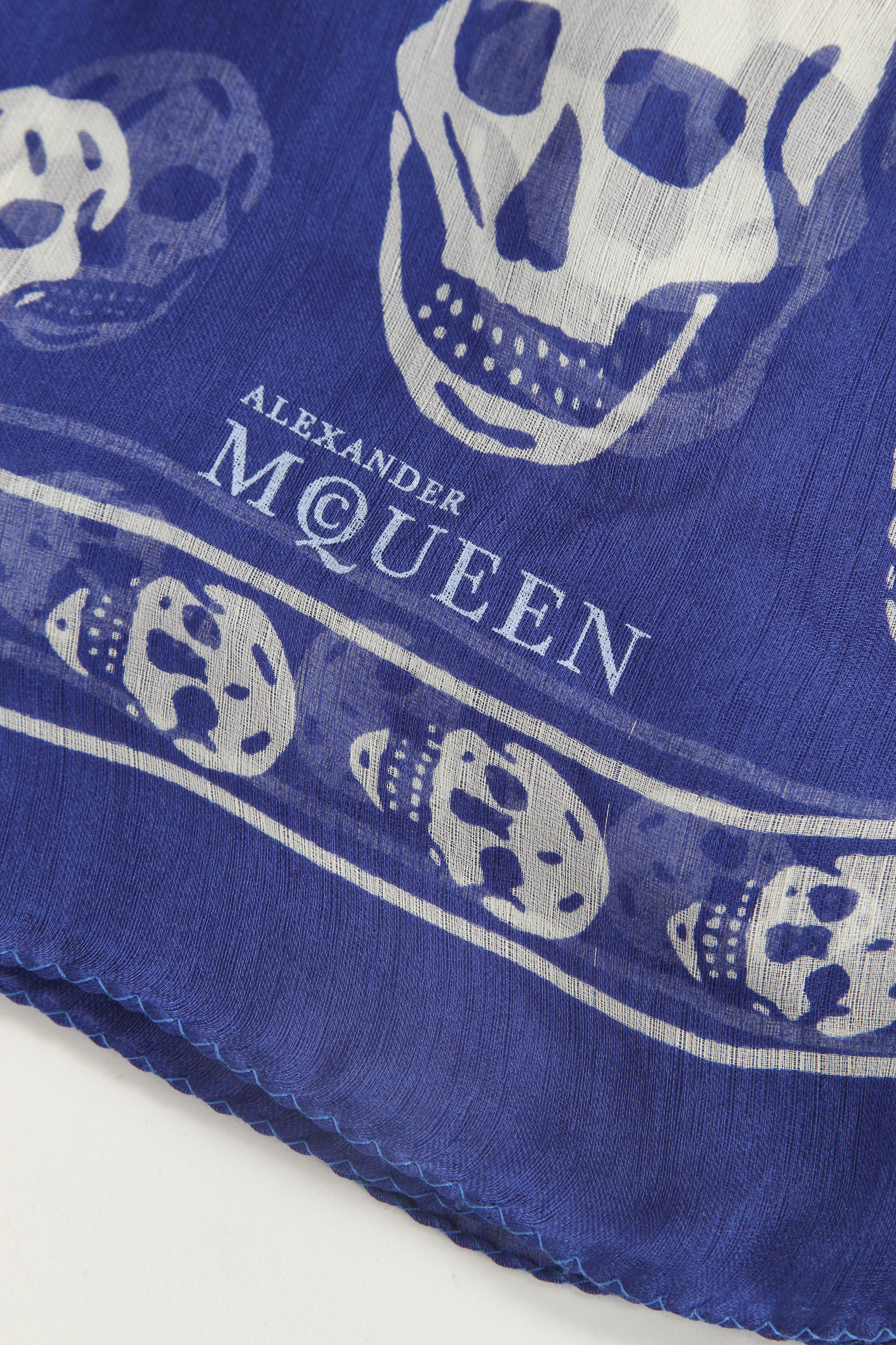 Alexander McQueen Scarf 1