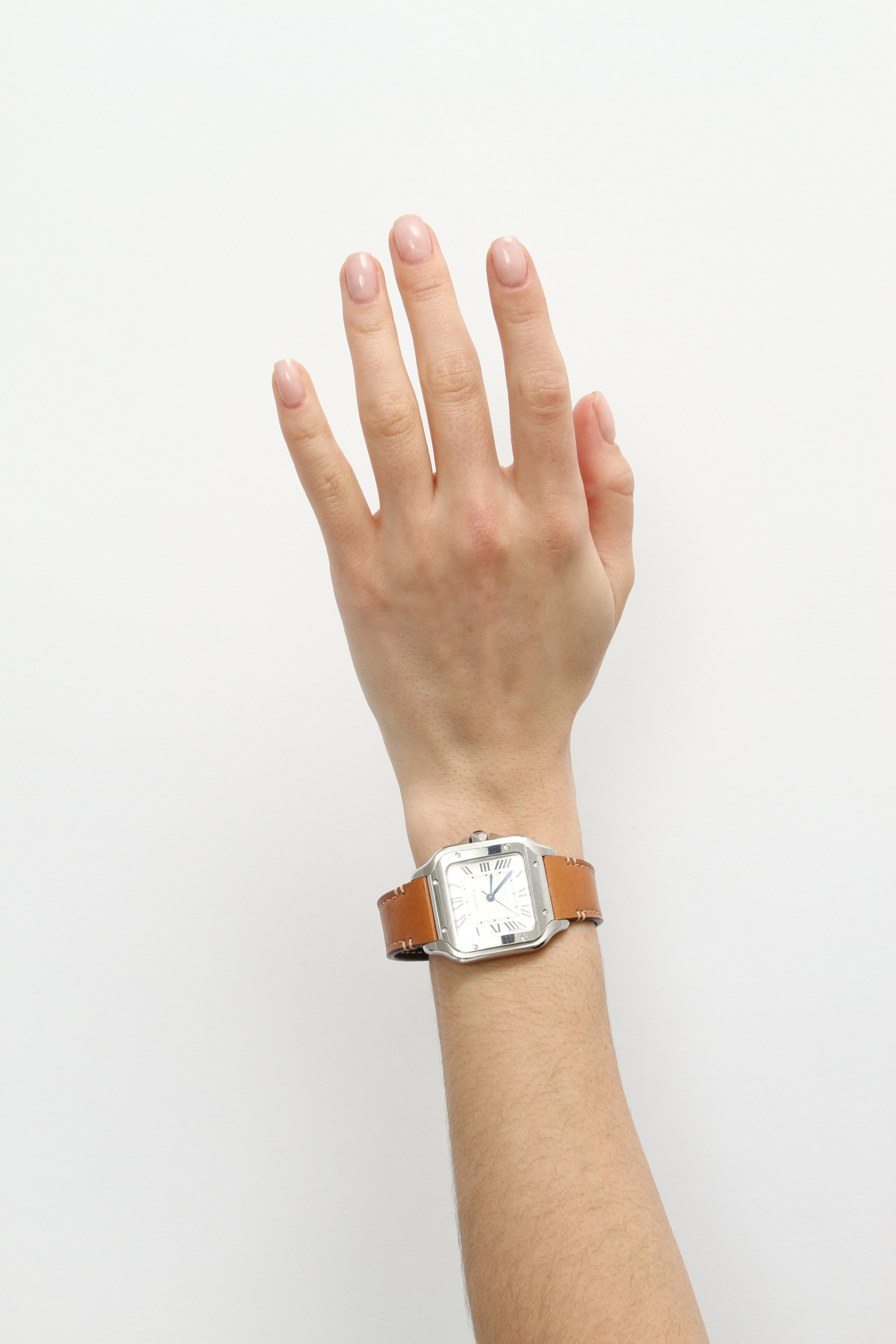 Cartier Santos de Cartier 6