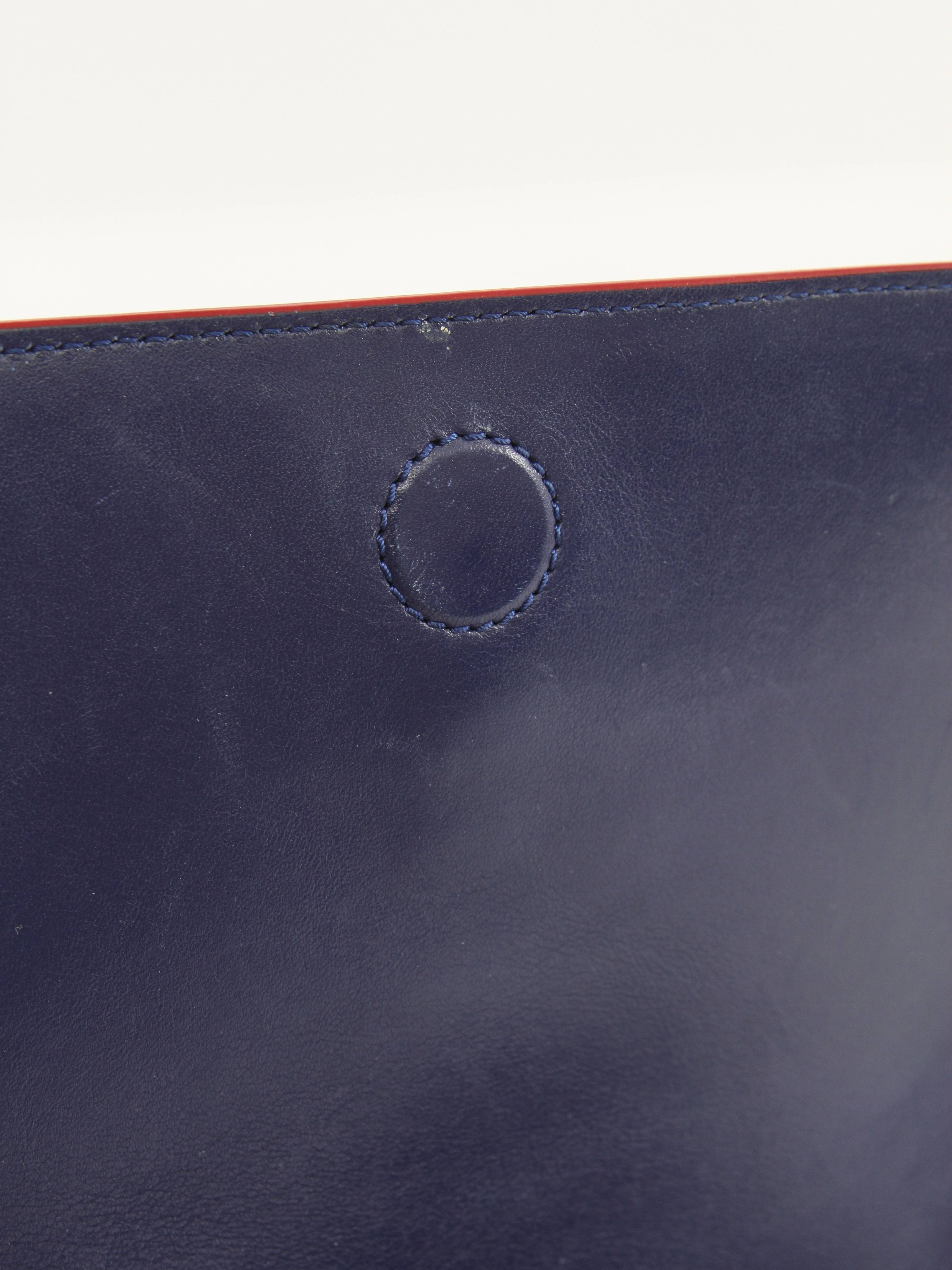 Alexander McQueen Skull  7