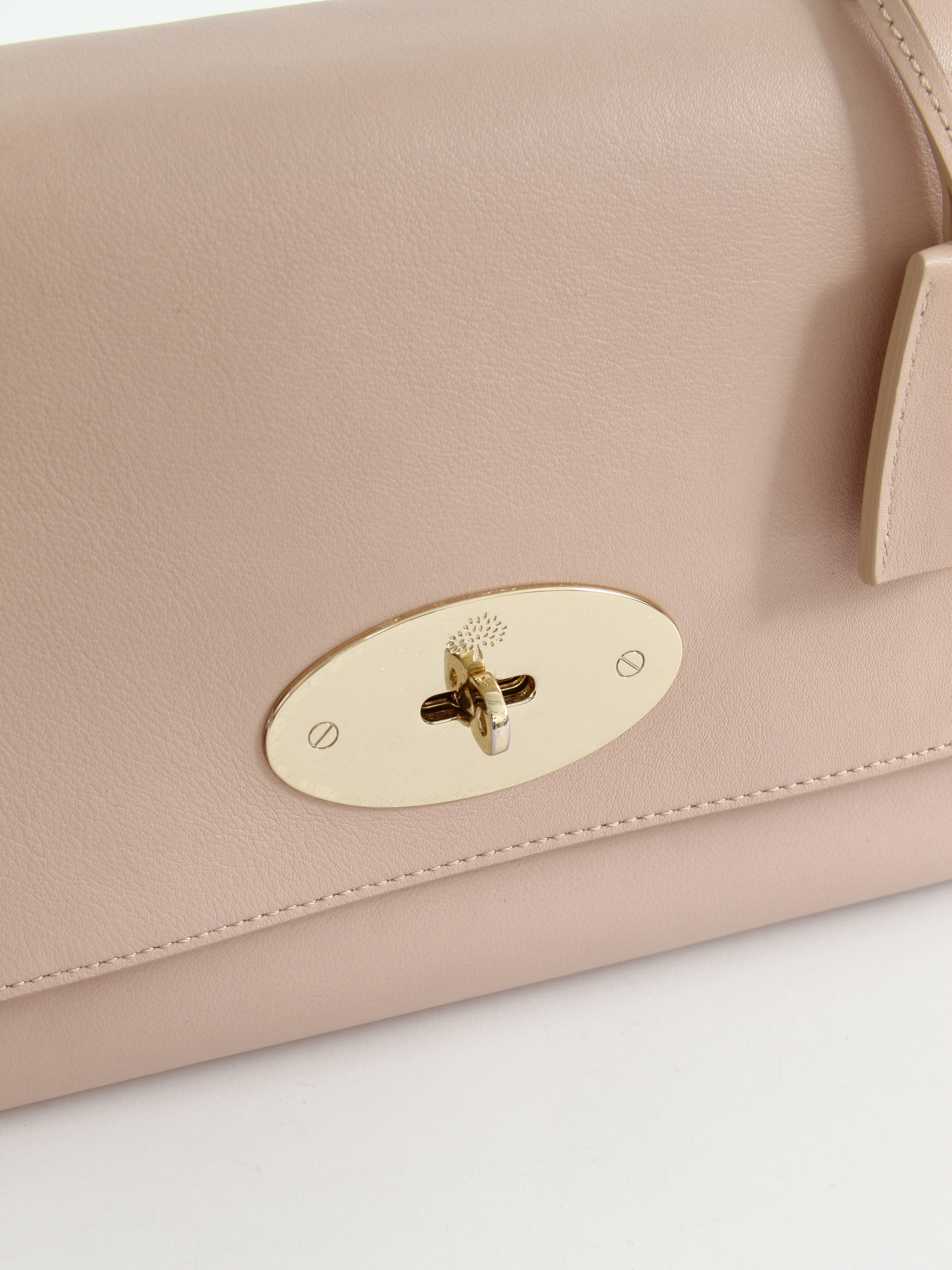 Mulberry Lily  10
