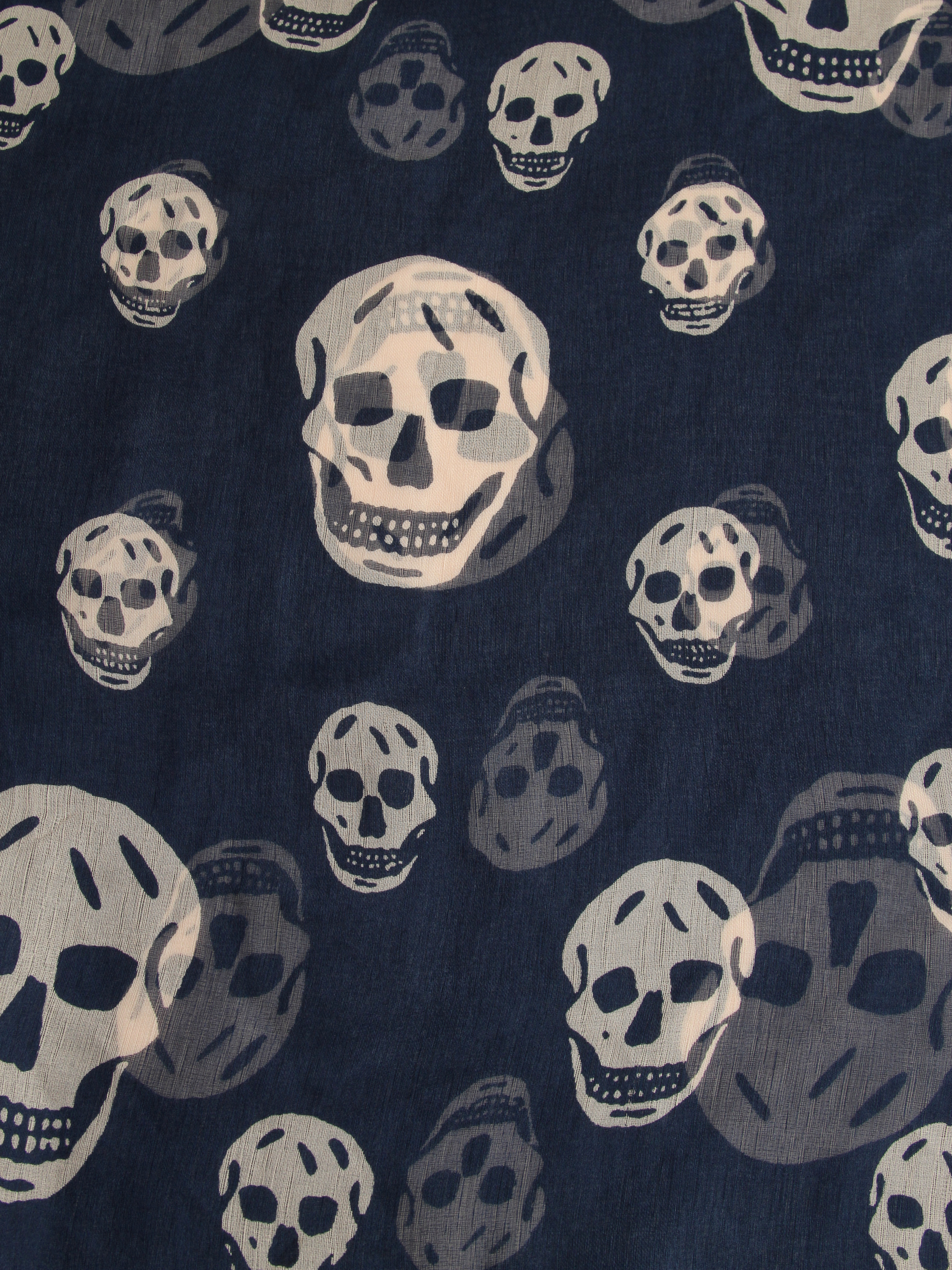 Alexander McQueen Scarf 1