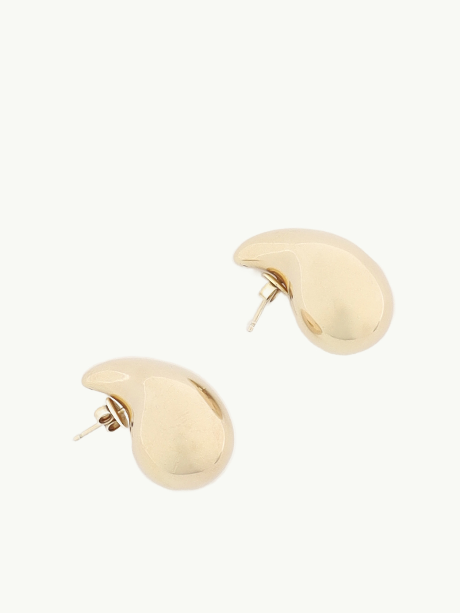 Bottega Veneta Earrings  2