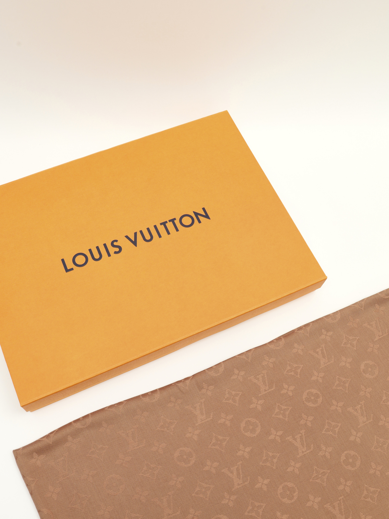 Louis Vuitton Silk Scarf 8