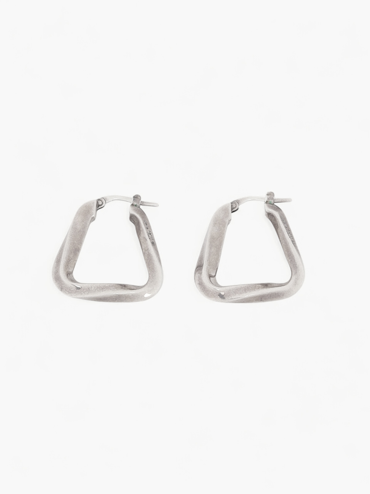 Bottega Veneta Earrings  2