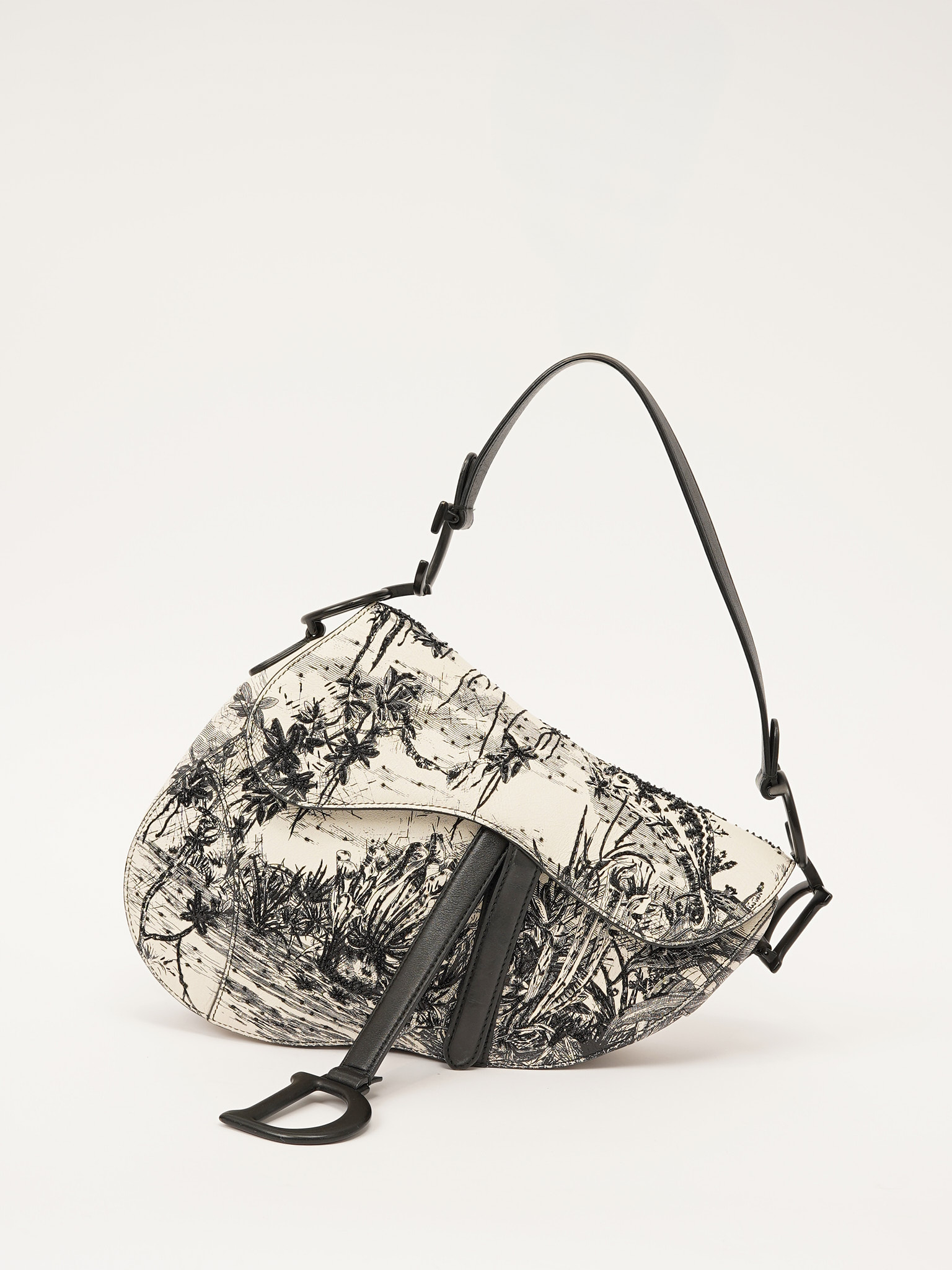 Dior Saddle 0