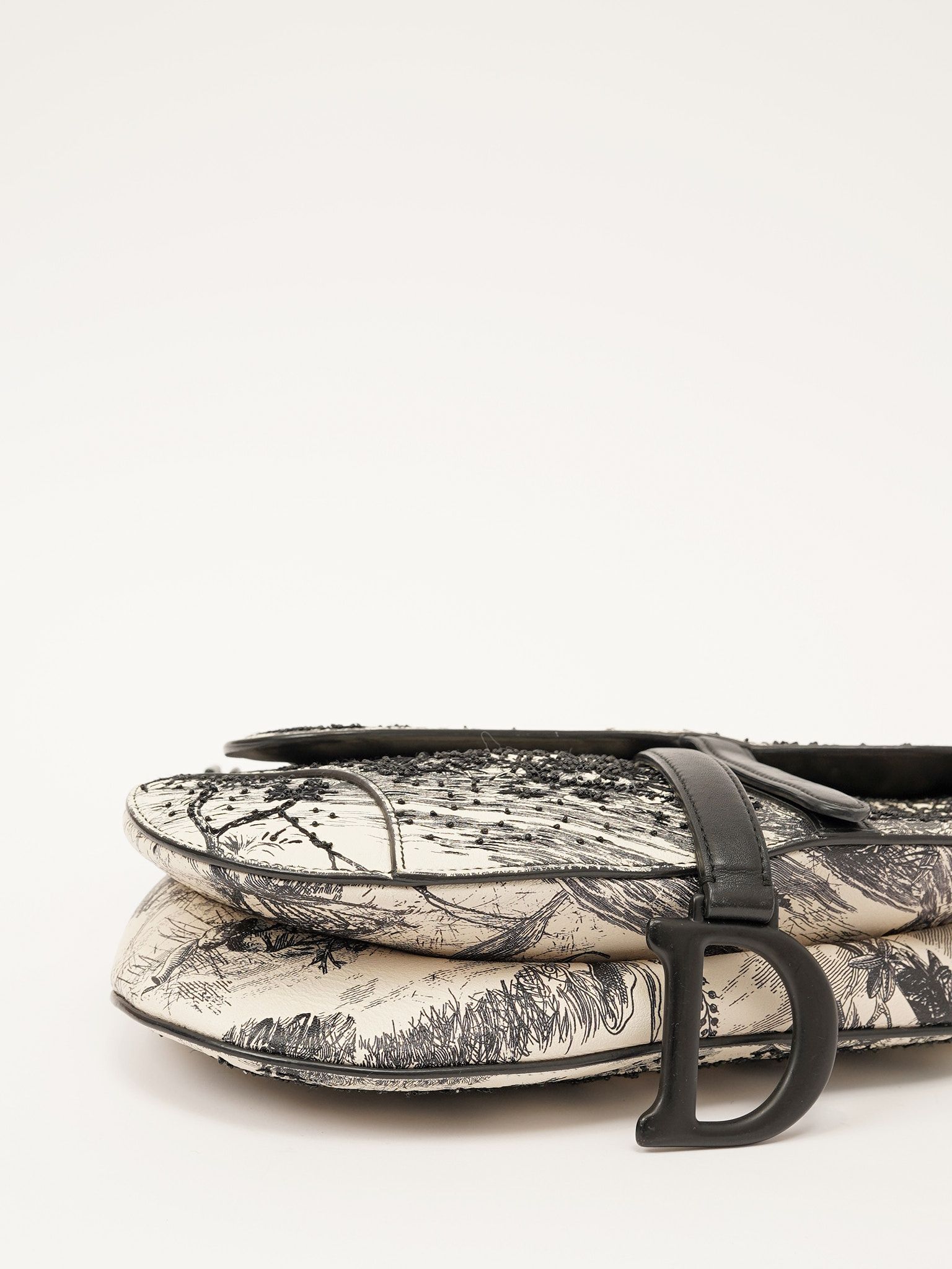 Dior Saddle 6