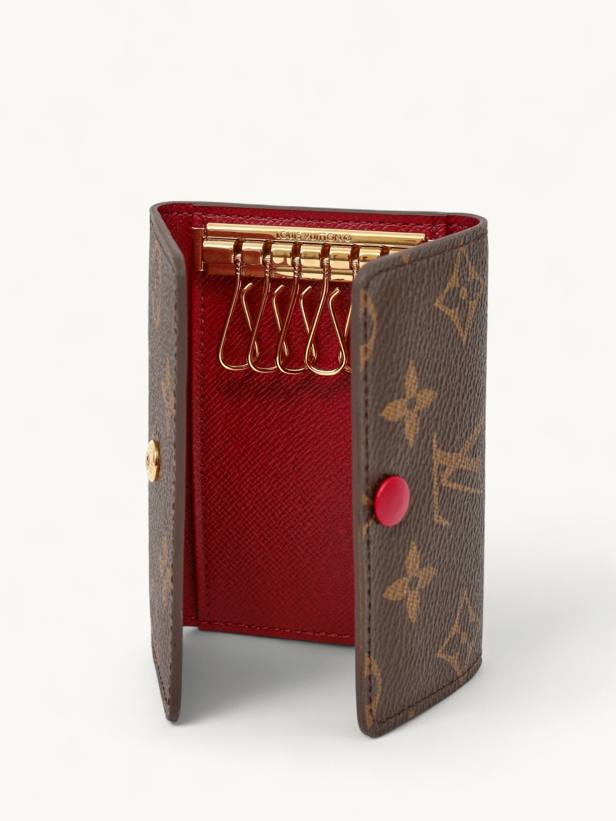 Louis Vuitton Case  5