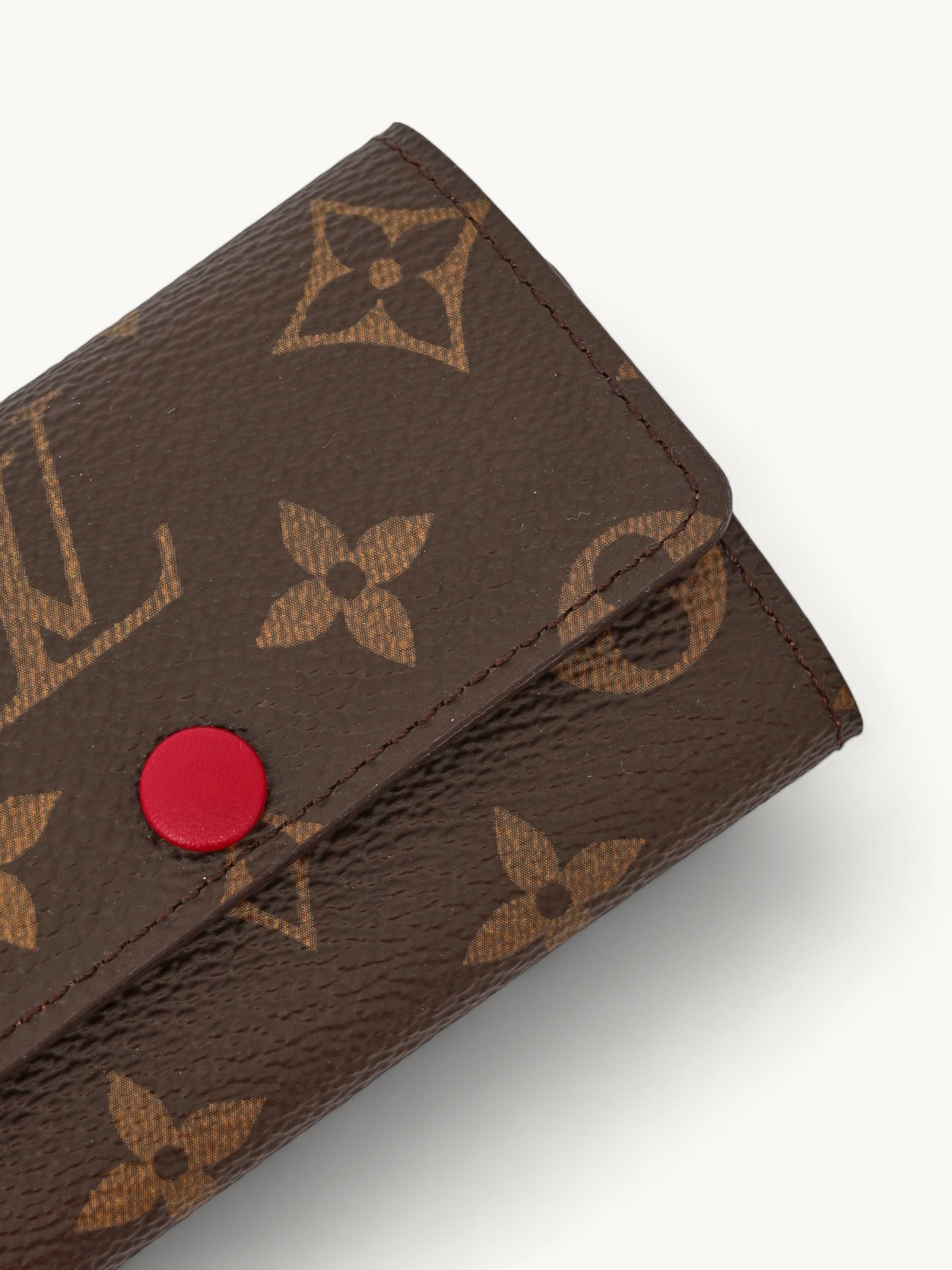 Louis Vuitton Case  4